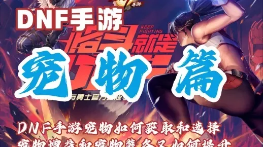 手游dnf新礼包宠物-DNF新宠物：冒险奇幻伴侣