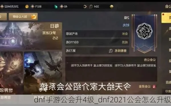 dnf手游公会满级-DNF手游公会满级攻略